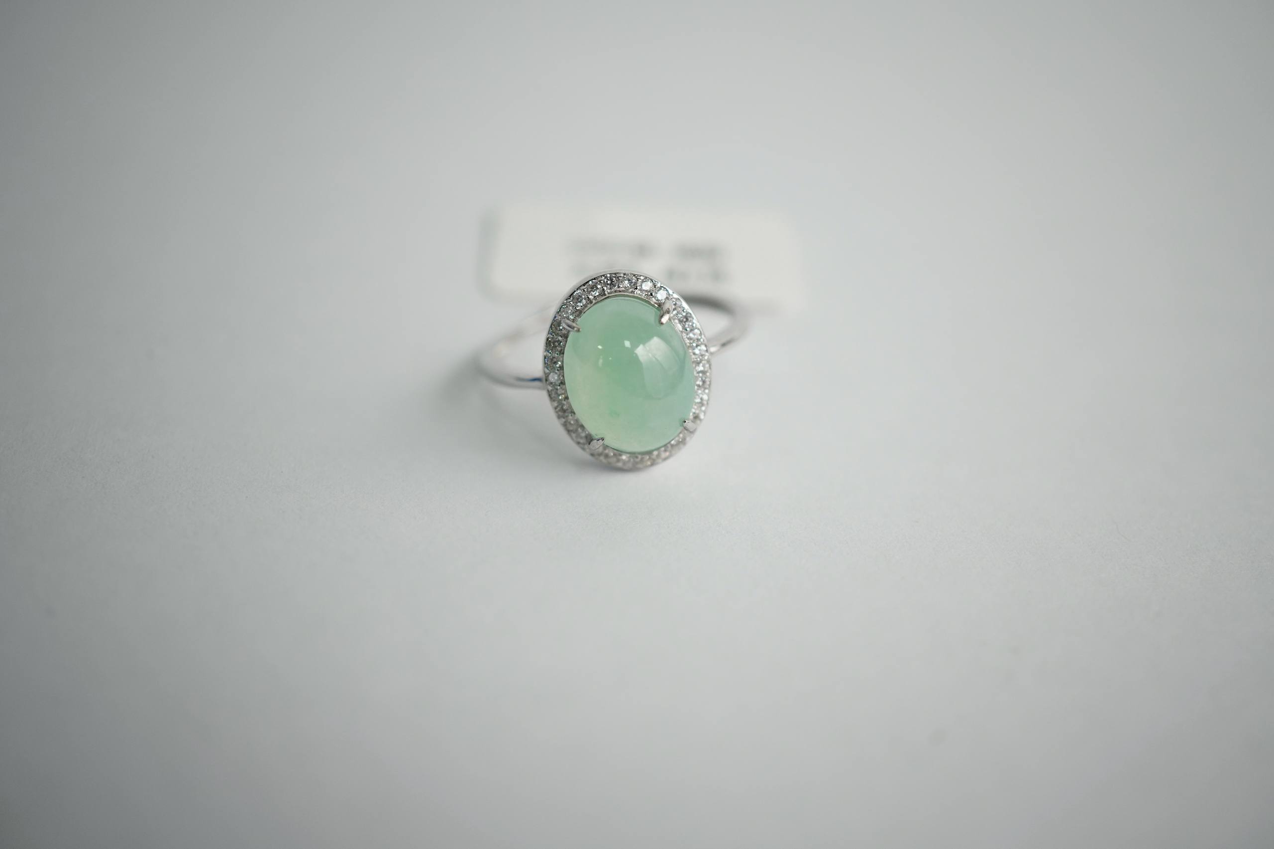 Field-5R / Cool Spring