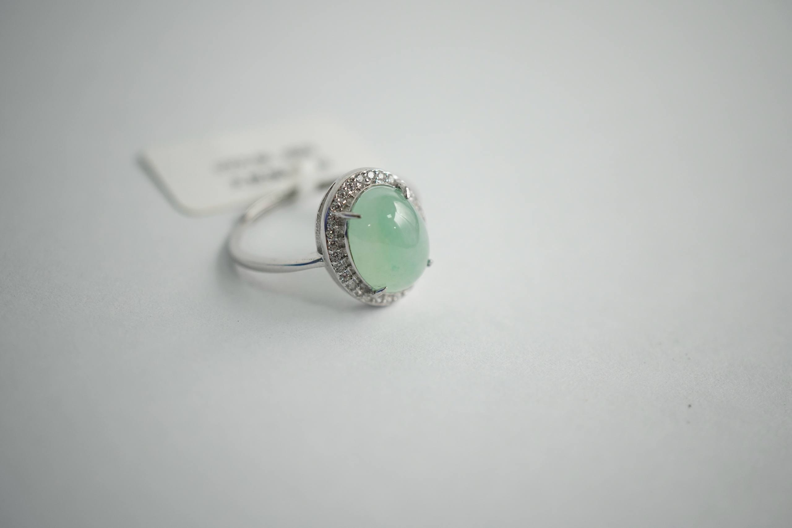 Field-5R / Cool Spring